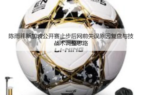 陈雨菲新加坡公开赛止步后网前失误原因复盘与技战术调整思路